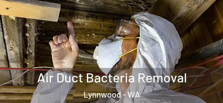  Air Duct Bacteria Removal Lynnwood - WA