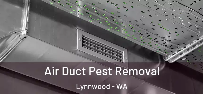  Air Duct Pest Removal Lynnwood - WA