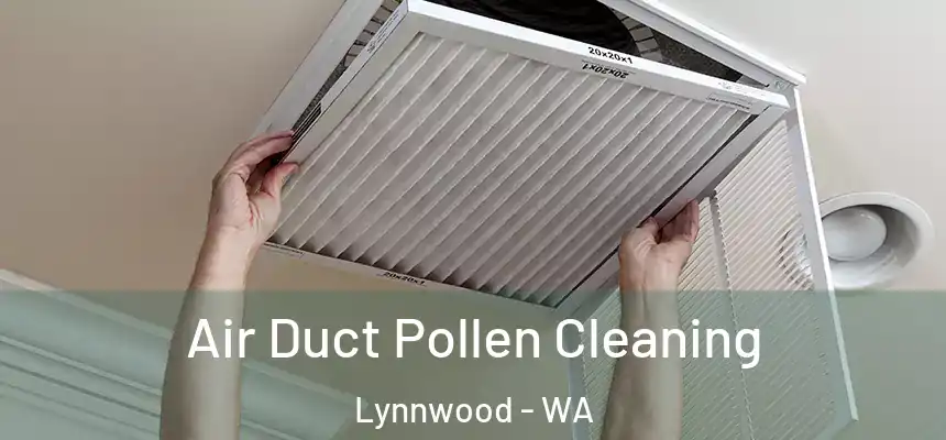  Air Duct Pollen Cleaning Lynnwood - WA