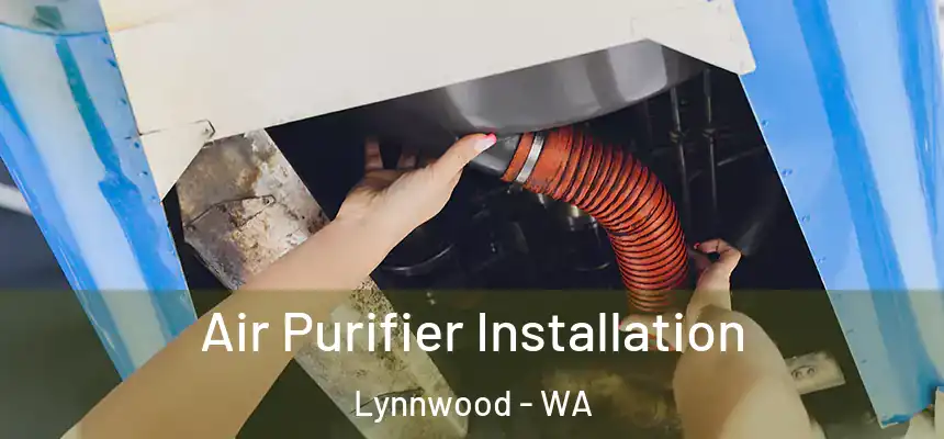 Air Purifier Installation Lynnwood - WA