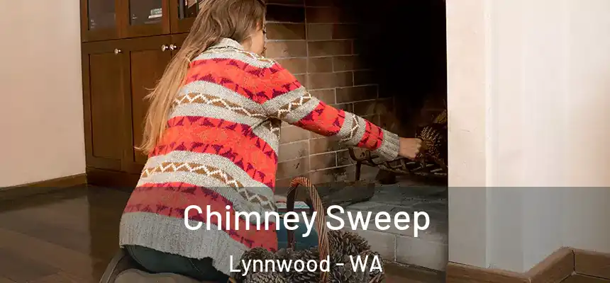 Chimney Sweep Lynnwood - WA