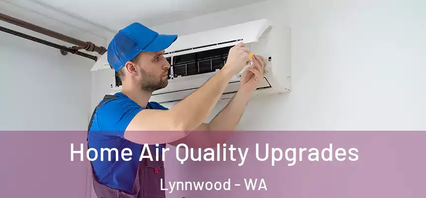 Home Air Quality Upgrades Lynnwood - WA