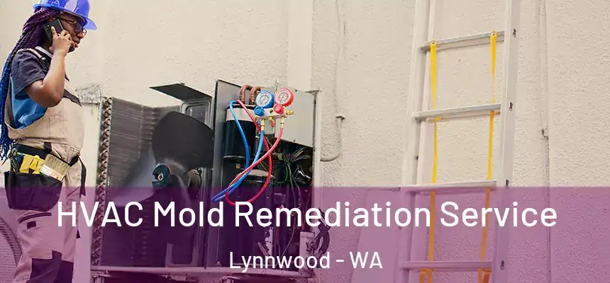  HVAC Mold Remediation Service Lynnwood - WA