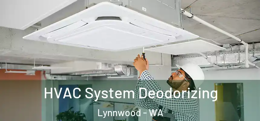 HVAC System Deodorizing Lynnwood - WA