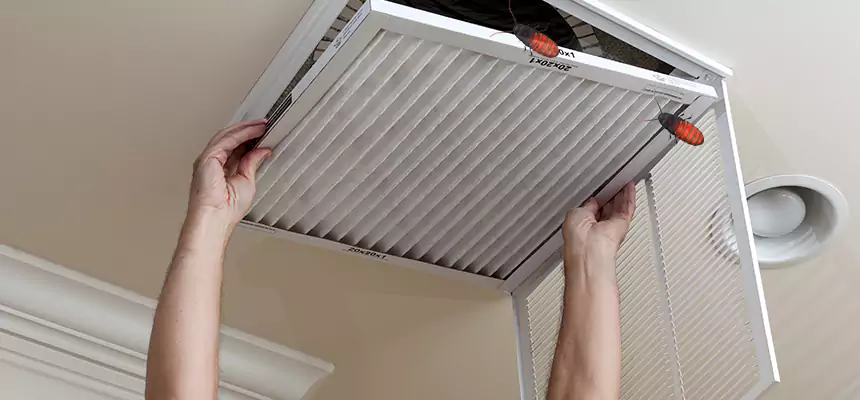 Preventive Cockroach-Proofing for Ducts in Lynnwood