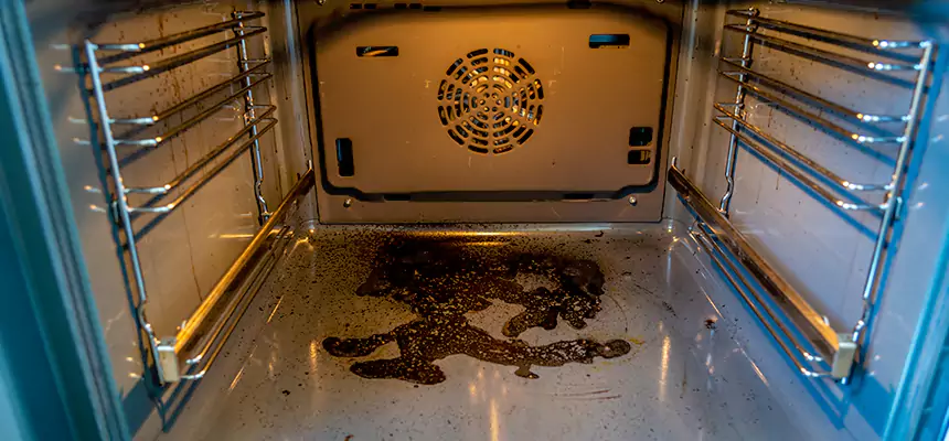 Our Air Purifier Installation Services in Lynnwood, WA