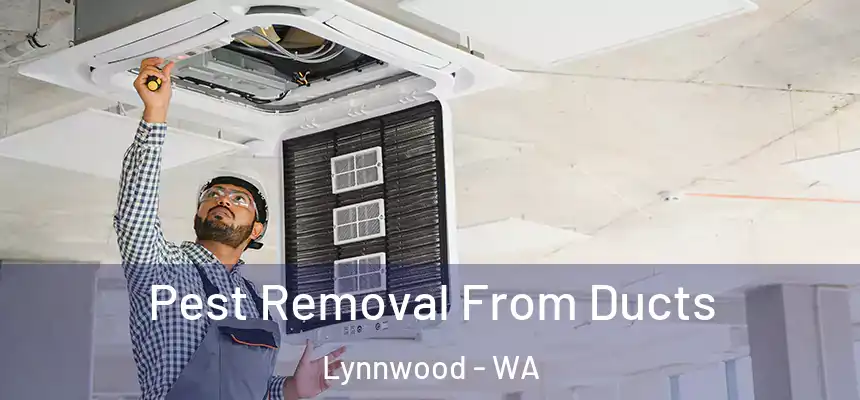  Pest Removal From Ducts Lynnwood - WA
