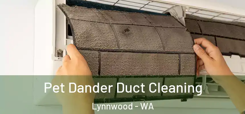  Pet Dander Duct Cleaning Lynnwood - WA