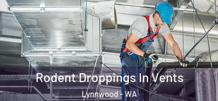  Rodent Droppings In Vents Lynnwood - WA