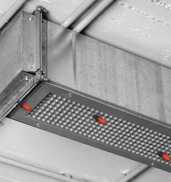 About Air Duct Cockroach Removal in Lynnwood, WA