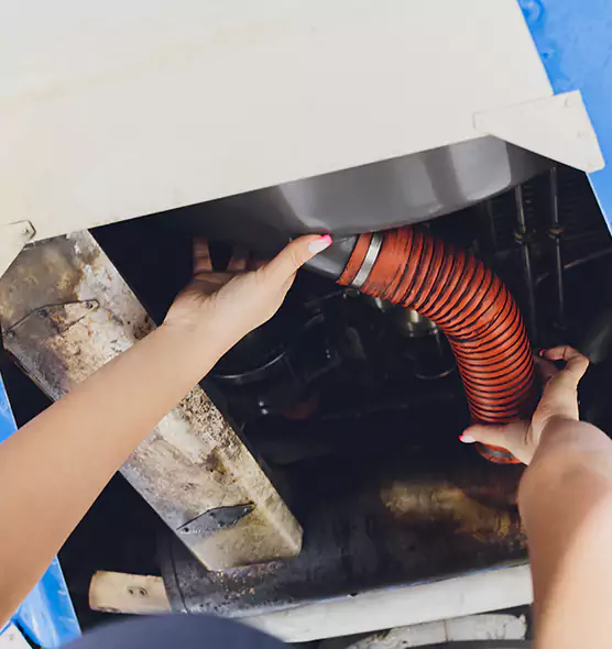 About Air Duct Virus Disinfection in Lynnwood, WA