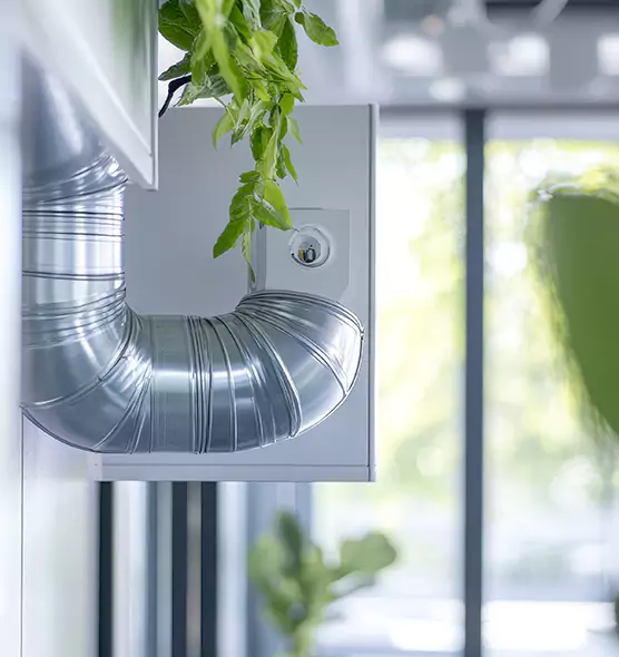 Professional Eco-Safe Dryer Vent Cleaning in Lynnwood, WA