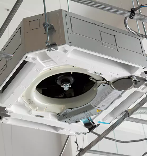 Professional Roof Vent Lint Removal Lynnwood, WA