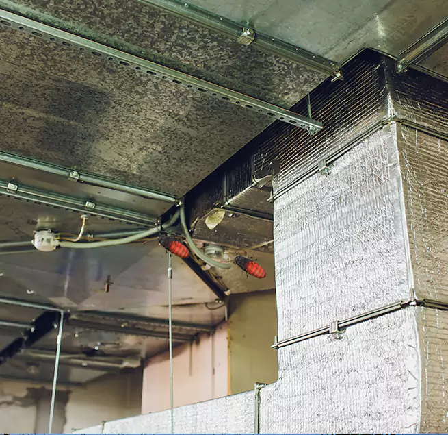 Why Homeowners & Businesses Trust Us in Lynnwood, WA?