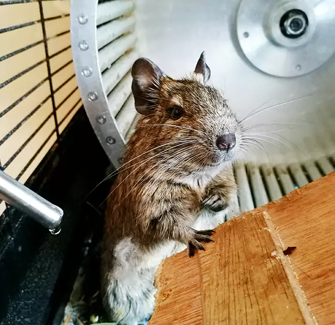 Why Homeowners & Businesses Trust Us Lynnwood, WA?