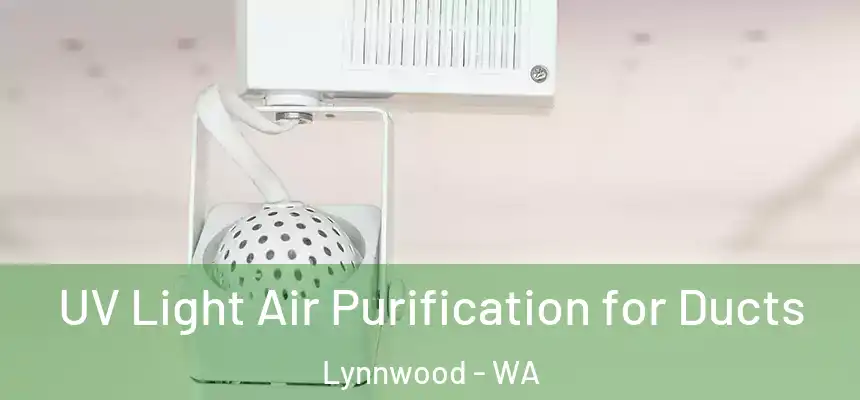  UV Light Air Purification for Ducts Lynnwood - WA