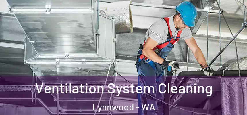 Ventilation System Cleaning Lynnwood - WA
